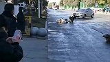 洒水车工作后，导致多人滑倒，冬季洒水为了啥？