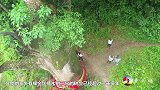 贵州深山发现亚洲最大的金丝楠木王，价值预估至少上亿，世界罕见