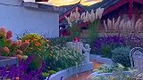 要不要拼一下，你住白天，我住晚上