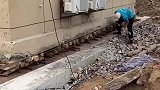 听说邻居家要搬家，原本想过来搭把手
