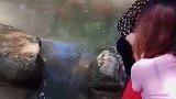 浙江丽水：儿子高考，母亲去溪边放生红鲤鱼，亲眼目睹鲤鱼跃龙门