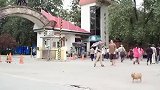 煎饼侠：导演，给我一个机会，我还你一个影帝！