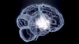 噪音能让人分心，科学家想将噪音植入大脑里，试图变得更聪明！