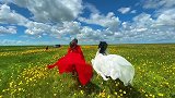 这样的花海太漂亮了，美女你回头看看！