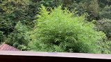 你如果太累了，就给自己放个假吧！来山里住上几天，地里摘点蔬菜，河里摸几条鱼，发呆喝茶，你会觉得人间值得！