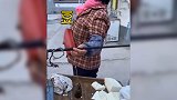 还带转弯的！63岁大妈魔性吆喝卖豆腐 颤音直击灵魂