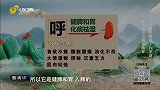 大医本草堂-20250929-巧养五脏呼吸操 六字诀