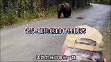 老头在森林遇到熊，熊也怕，他也怕，看老头和熊心理博弈