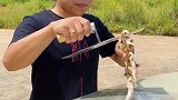 一山还比一山高，最后的那是什么操作