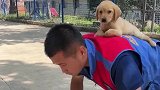 消防员背着小狗锻炼身体