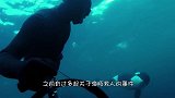 妈妈抱着女儿看海，一群黑压压的家伙突然逼近他们，这是什么东西