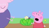 小猪佩奇：吓死佩奇宝宝了！生菜上有一个可怕的怪兽！