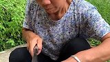 香喷喷的土猪腊肉