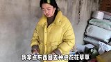 媳妇回娘家堪比土匪进村，嫂子敢怒不敢言，网友：这是养了个贼吧