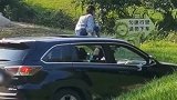 北京野生动物园回应游客坐车顶游览：系小朋友随机行为
