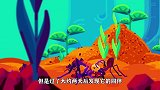 蚂蚁感知到死亡后，会选择做什么看完长知识了
