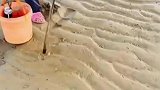 职业选手赶海,绝不浪费一粒盐