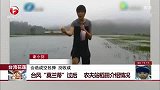 台风“莫兰蒂”过后 农夫站稻田介绍情况