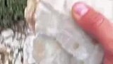 明明看着不是也没多高吗
