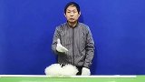 钓大章鱼物理实验