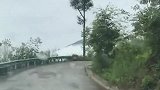 兔子跑山路是我的强项，你可追不上我！