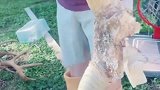 捡柴发现好东西，就是不知道这玩意，能不能烧火！
