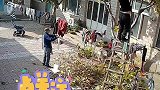 男子修剪树枝脚下梯子突然滑落，神反应没有受伤