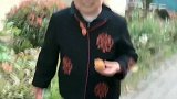 一见到太奶奶，儿子就把拐杖抢走，太奶奶寸步难行，为娘也无奈了