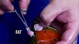 男子家的鸽子长着一张核桃嘴，这是怎么回事看完长知识了
