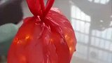 今年灯笼有点特别，拿去学校会被老师骂不