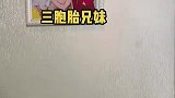 被别人误会成三胎的三胞胎，经过了一个寒假，体重差距越来越大