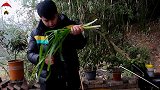 川菜“巴骨肉”原来是用这个部位做的，30块一斤，2斤不够我吃