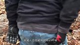 浣熊刚出门就被大树压住，被救援人员发现后，浣熊的做法令人心惊