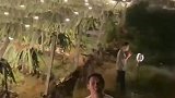 小伙拍下夜幕下的火龙果园，灯火通明如壮观星海