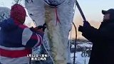 #两极穿越龙江行｜黑龙江鸡西，爱好者自制两米多高的雪雕，造型独特、活灵活现，网友：还有彩灯，真漂亮