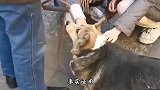 别人是生孩子 我这是生了只猴子吗？这是要返祖吗