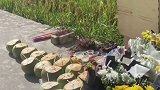 知道袁老爱喝椰子，海南市民纷纷买来椰子放在水稻旁边悼念袁隆平送别袁隆平