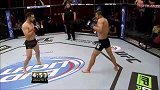 UFC-14年-终极斗士拉美赛自由格斗：卢比奥vs托雷斯-专题