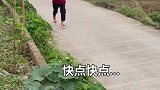 现在到处都在抓好看的人，快跑啊！
