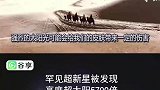 罕见超新星被发现，亮度超太阳5700倍