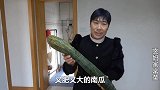 原来南瓜也能这样做，营养丰富又美味，咸甜有口感，做法还简单！