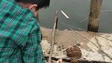 不要小瞧熊孩子钓鱼的实力，下鱼竿没到两分钟，就有小鱼咬钩了！