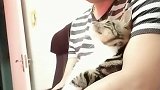 不赞美给你个飞眼，自己体会吧