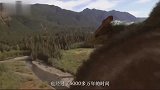 如果6500万年前恐龙没有毁灭，或许已经进化出智慧