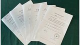 6道停工令保护不了红树林，没见过这么豪横的施工方