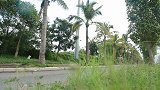 恒大海花岛2016儋州马拉松