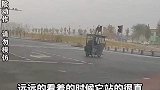 大爷骑三轮狂飙，狗子站车顶稳如泰山