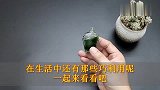 风油精的“值钱作用”，好多人不懂，涨知识了
