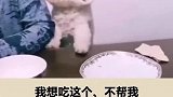 大哥快帮我说说话。