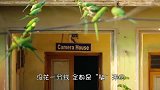 外国大叔养了50只浣熊，没花一分钱，全是“骗”来的！